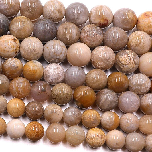 Chrysanthemum Fossil Coral Stone Beads, Round, 15.5'' inch strand