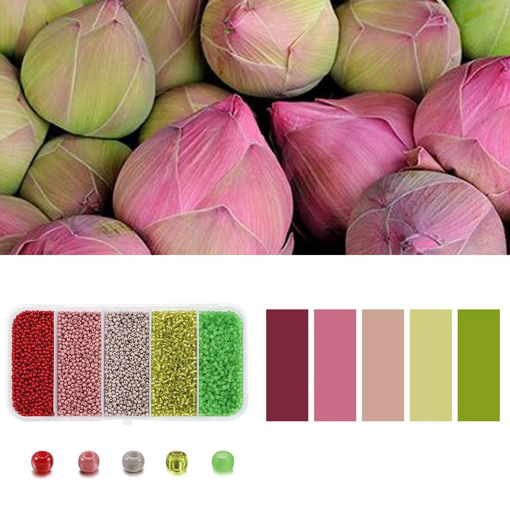 5 Color 2mm Czech Seed Beads Box