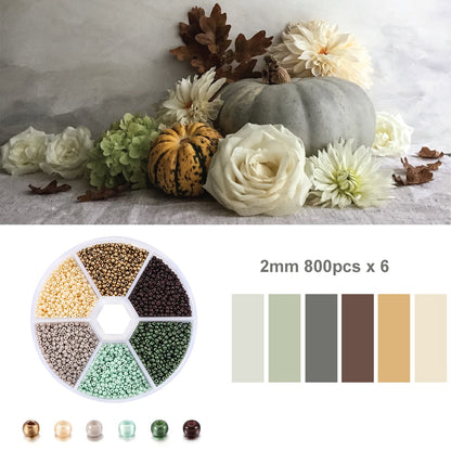Czech Glass Seed Beads Duo