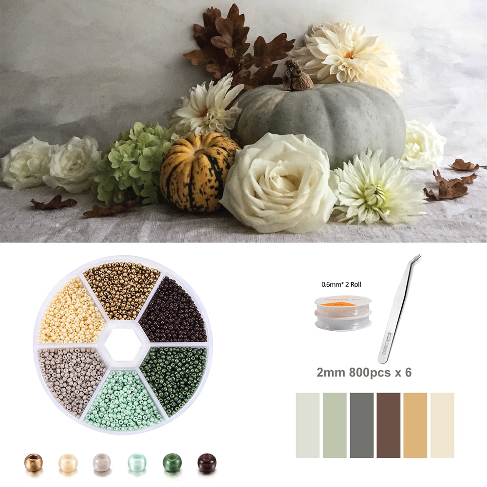 2-3mm Seed Beads Jewelry Kit