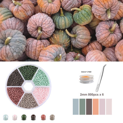 2-3mm Seed Beads Jewelry Kit
