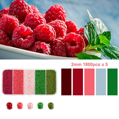 5 Color 2mm Czech Seed Beads Box