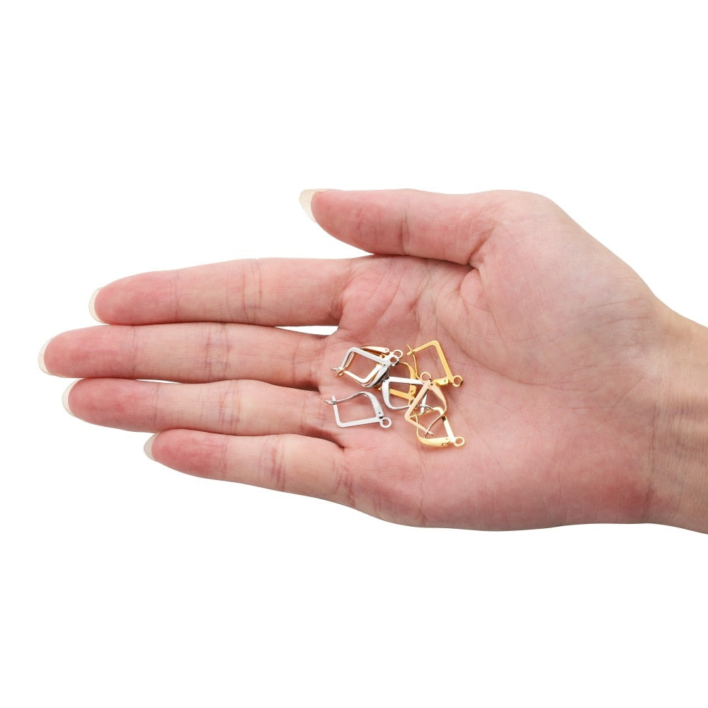 French Lever Back Earring Hooks, 50pcs